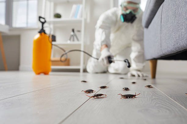 Commercial Rodent Management in Christiana